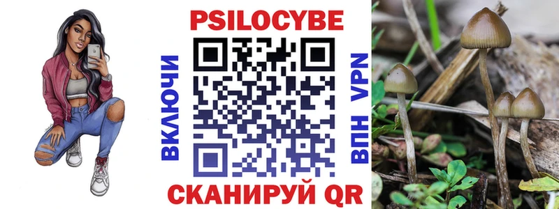Галлюциногенные грибы Cubensis  Бугуруслан 